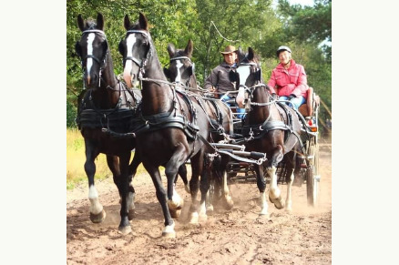 Vakantieboerderij Hoeve Heide en Wold met hottub direct aan ruiterroutes VMP010